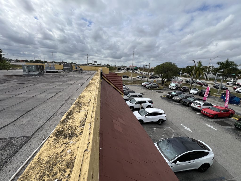 Documenting existing conditions to guide the structural design process.